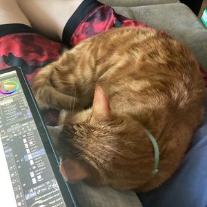 Meet your Posher, Jasmine